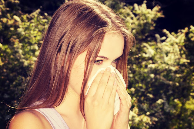 Everything You Need to Know About How to Use Essential Oils for Allergies Everything You Need to Know About How to Use Essential Oils for Allergies
