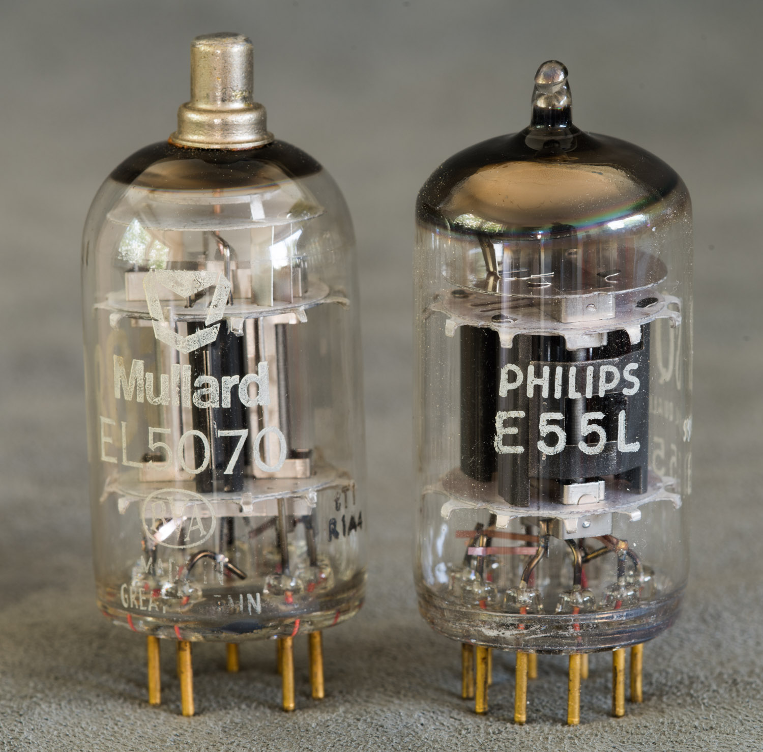 VinylSavor: Tube of the Month : The 8608 / EL5070