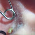 Elle a un petit bouton dans l'oreille, quand son mari appuie dessus? Oh mon Dieu, regardez ce qui en sort!