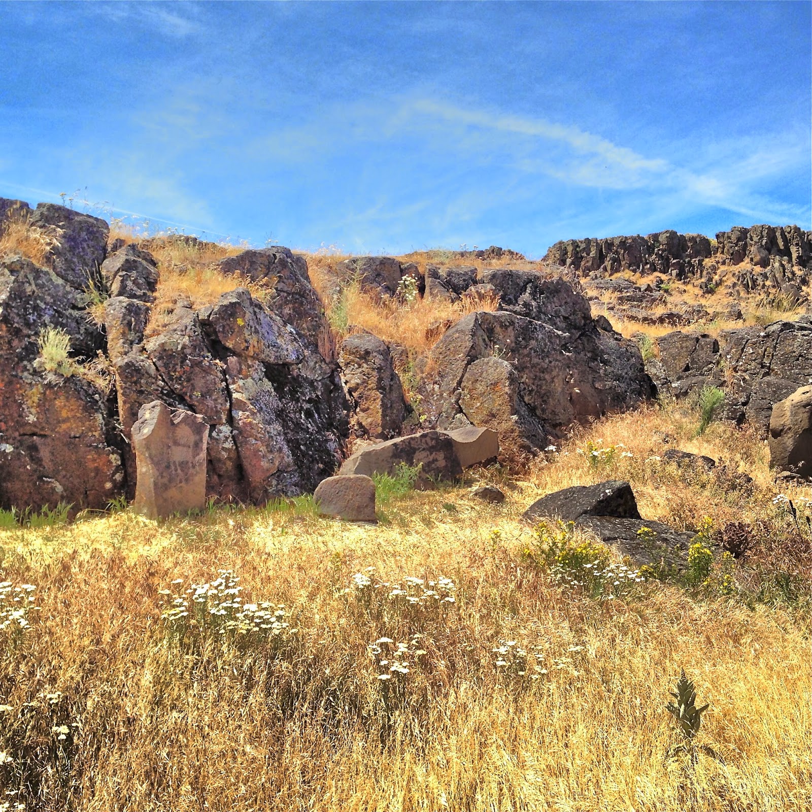 Venture Out Somewhere Far, But Not. Horsethief State Park, Dallesport WA