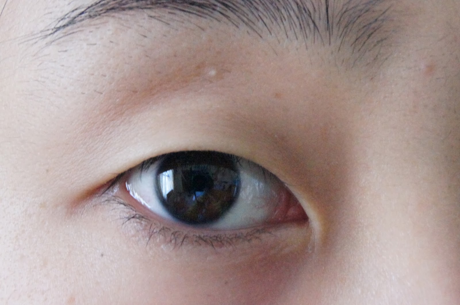 All About False Eyelashes (Part 3)