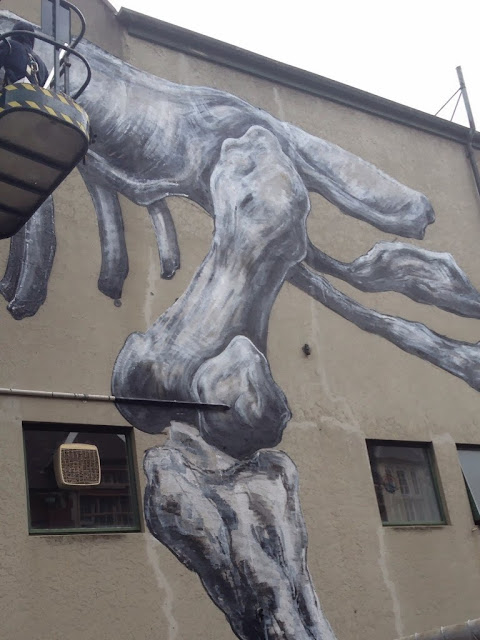 Work In Progress by ROA For Rise Street Art Festival In Christchurch, New Zealand. 3