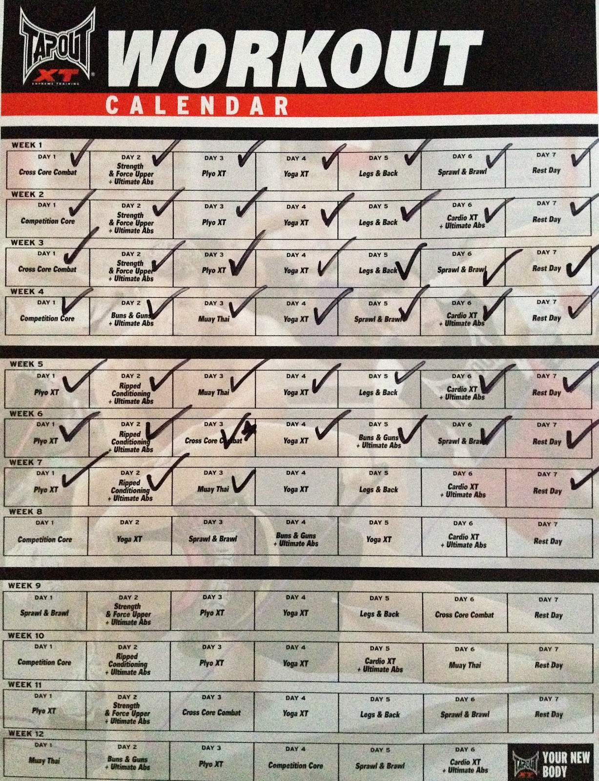 Tapout Xt Workout Calendar Download Pdf !LINK! 