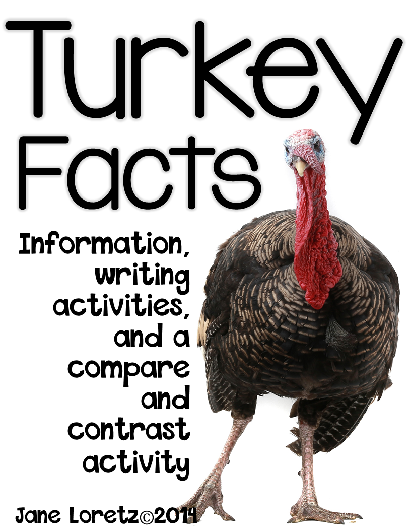 See Jane Teach Multiage Turkey Facts