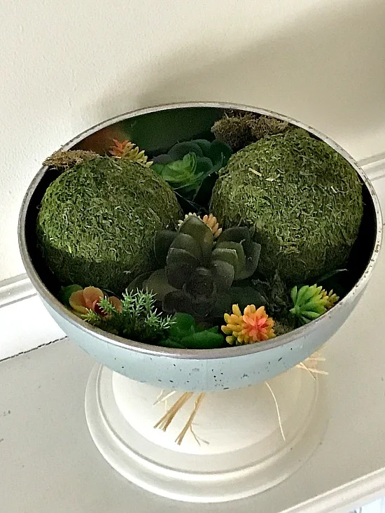 pedestal dish with succulents