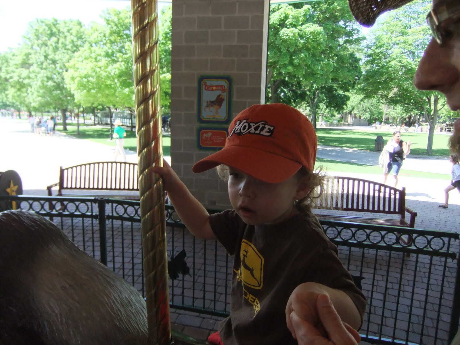 My Bologna Plus 3 Zoo Season