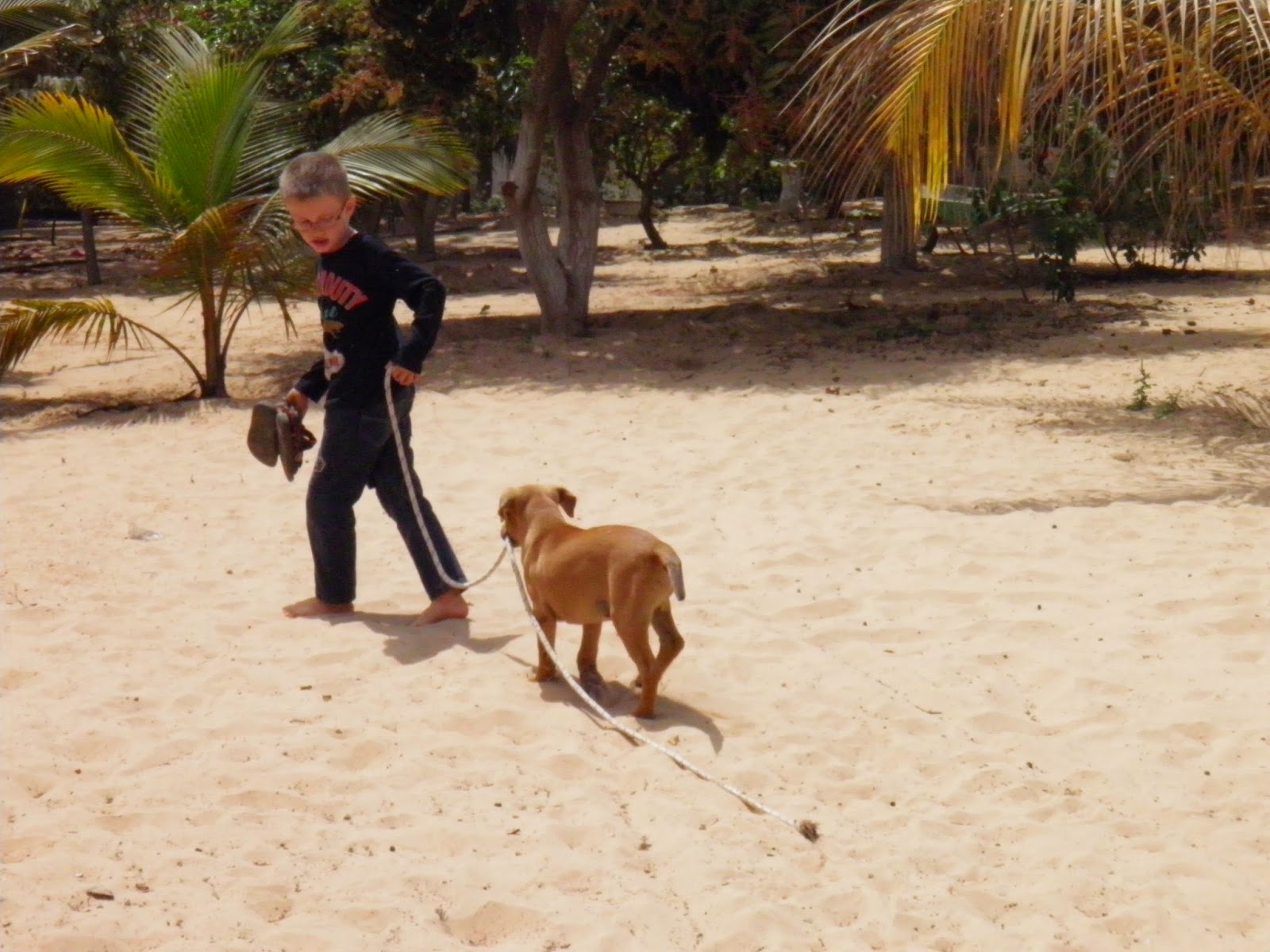 Nord Gazelle: Les laobés