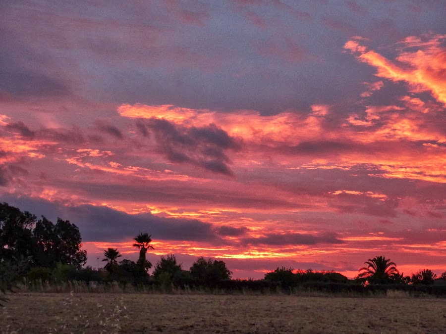 AMANECE EN EL TERRAO