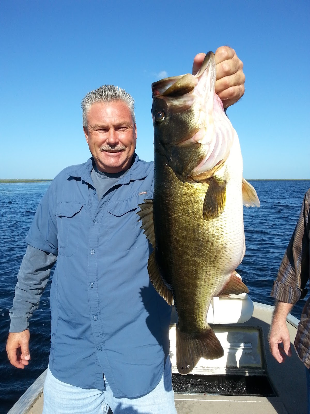 Okeechobee Fishing Report for Okeechobee Bass Fishing 112815 Trophy
