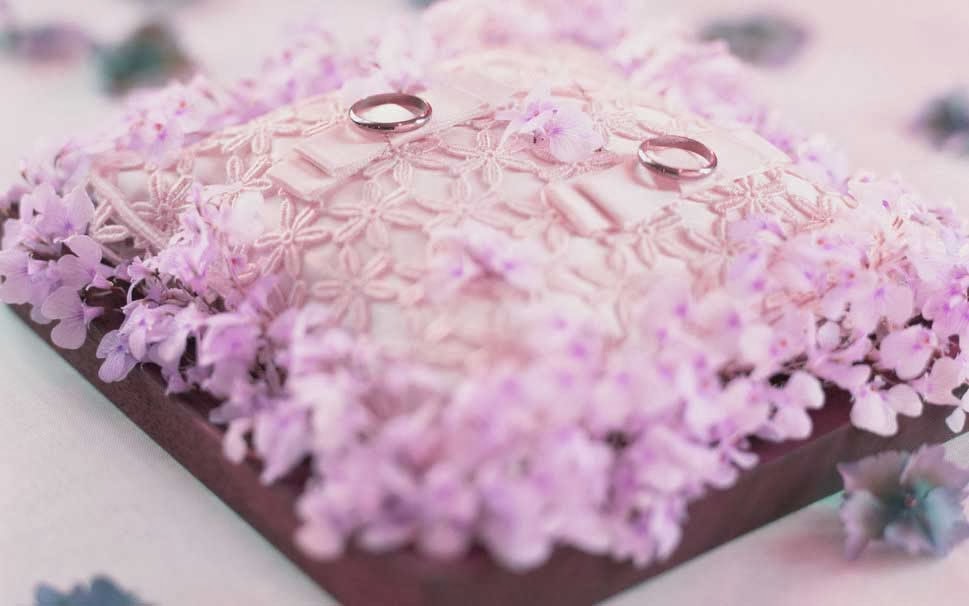 pillow-ring-rose-wedding-background-wallpaper