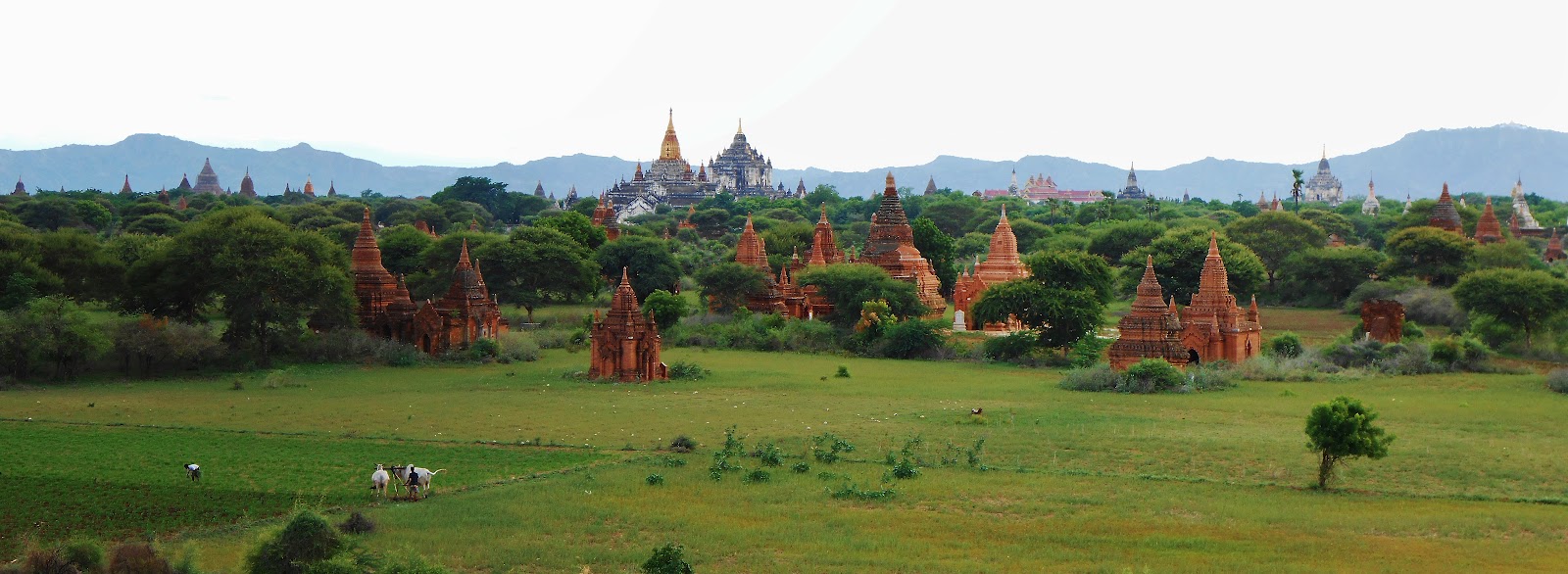 Brett and Kiersten's Travels: Myanmar/Burma part 1 - Yangon, Pyay, and ...