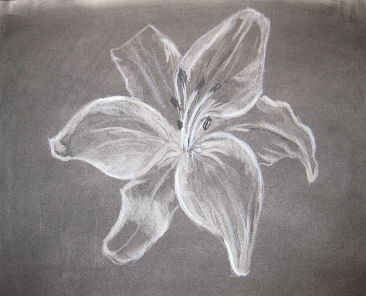 Drawings & Ideas Charcoal Erase Charcoal
