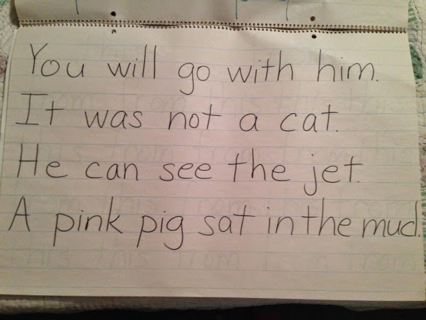 Kindergarten and Mooneyisms: Reading Chart - Week 9