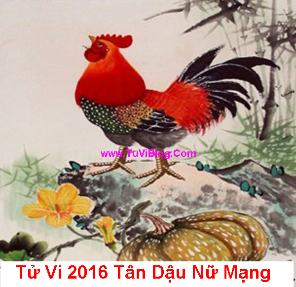 Xem Tu Vi 2016 Tan Dau Nu Mang