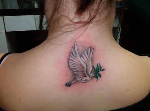 Tatto Beautiful Dove Tattoos