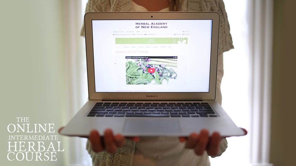 Naturopathy Herbal Medicine Degree Online Medicine Information Center