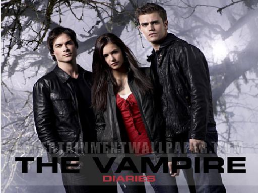 VAMPIRE DIARY SEASON 1: VAMPIRE DAIRY SEASON 1