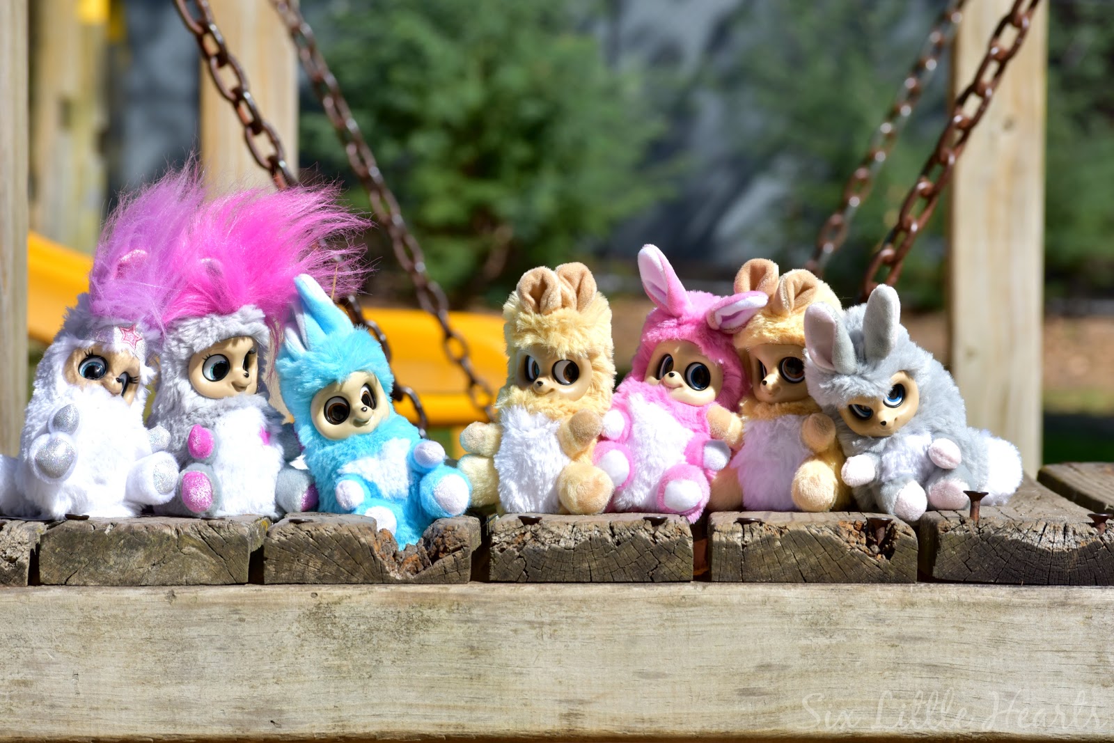 Purple Flowers Archives Ramblings From A Desert Garden