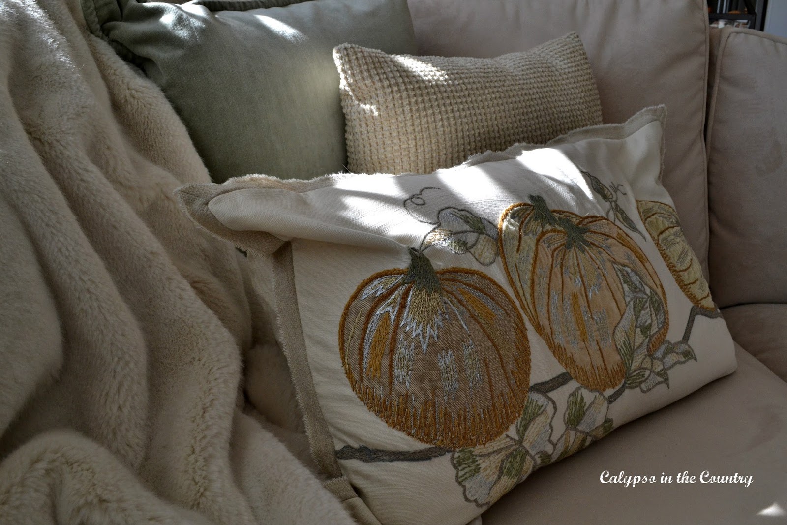 Pillows for fall