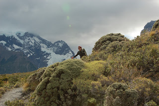 Tier Aus Einem Fernen Land