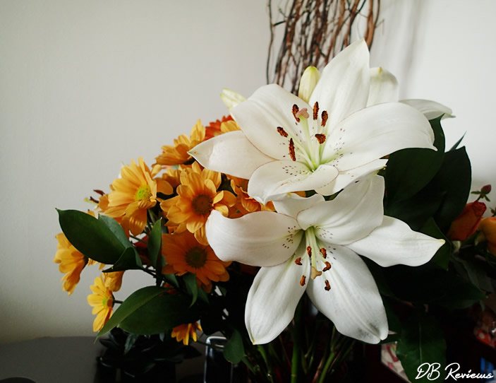 Woodbine Bouquet from Prestige Flowers