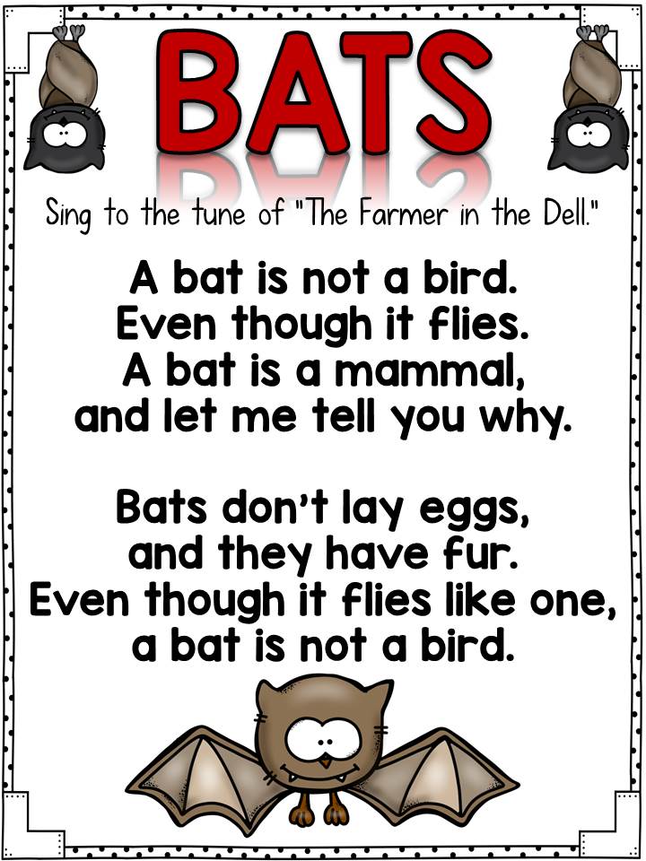 Integrating Science and Social Studies - Fun in First