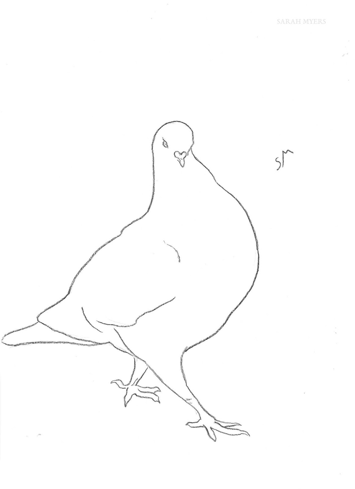 Flying Pigeon Line Drawing