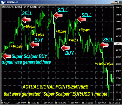 Forex Trading System Day Trading Scalper Strategy Indikator - 