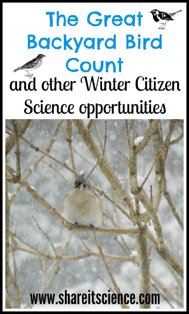 Winter Citizen Science for Families Great Backyard Bird Count