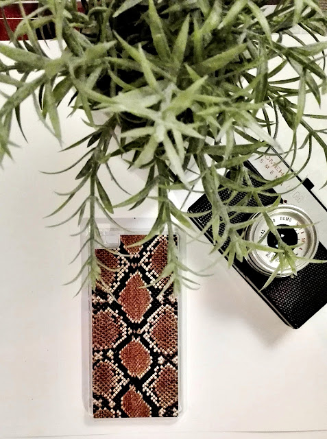etui12-crop.JPG