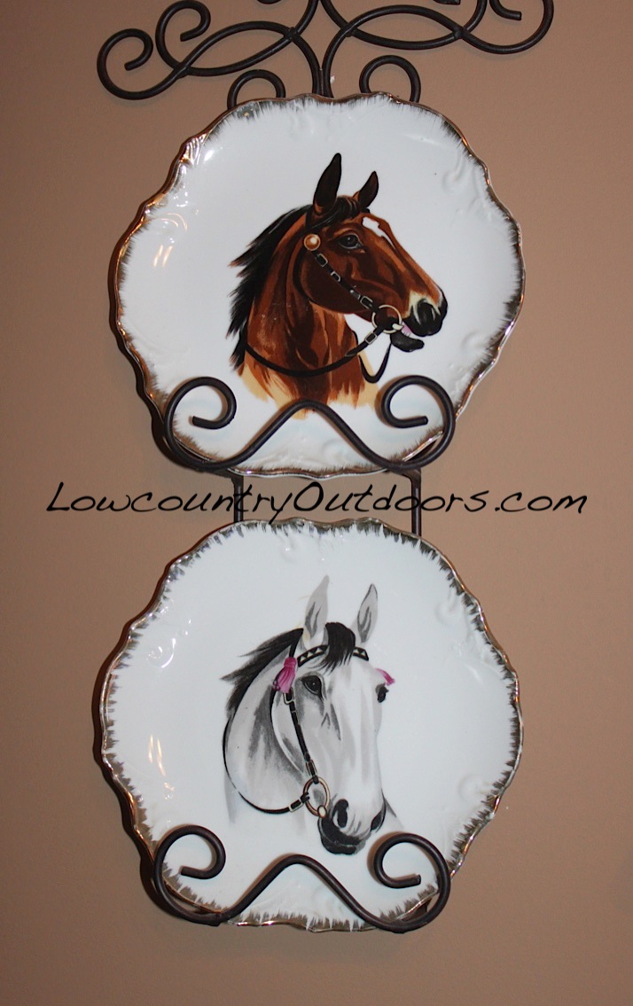 Lowcountry outdoors Old McCaskill Farm in Rembert Olde English District