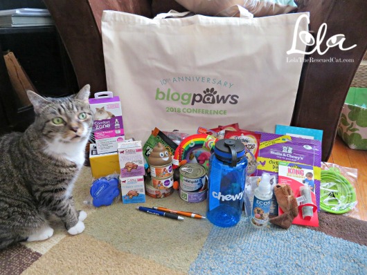 blogpaws|blogpaws 2018|chewy