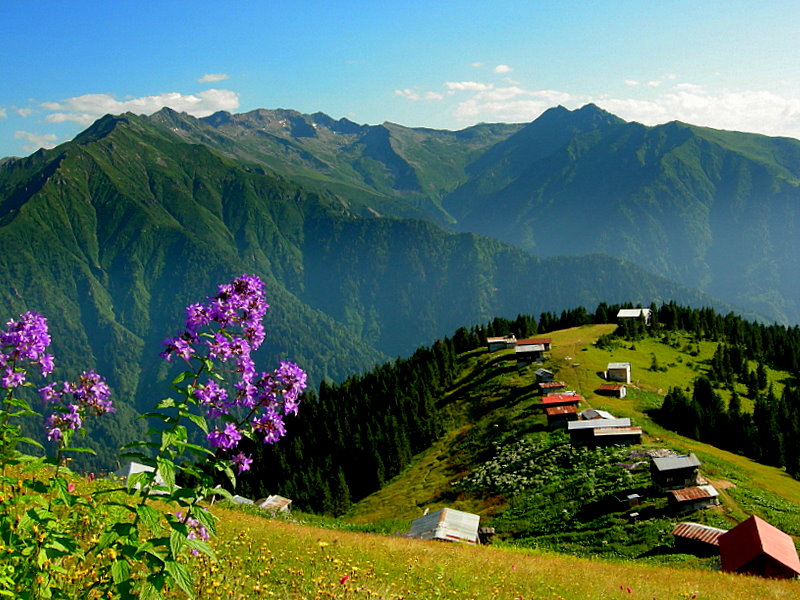 karadeniz karadeniz