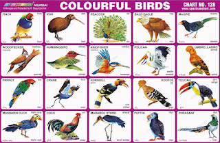 Colourful Birds Chart contains 20 images of various corourful birds
