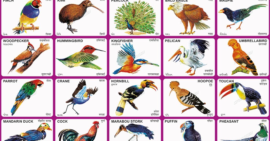 Twin Birds Colour Chart