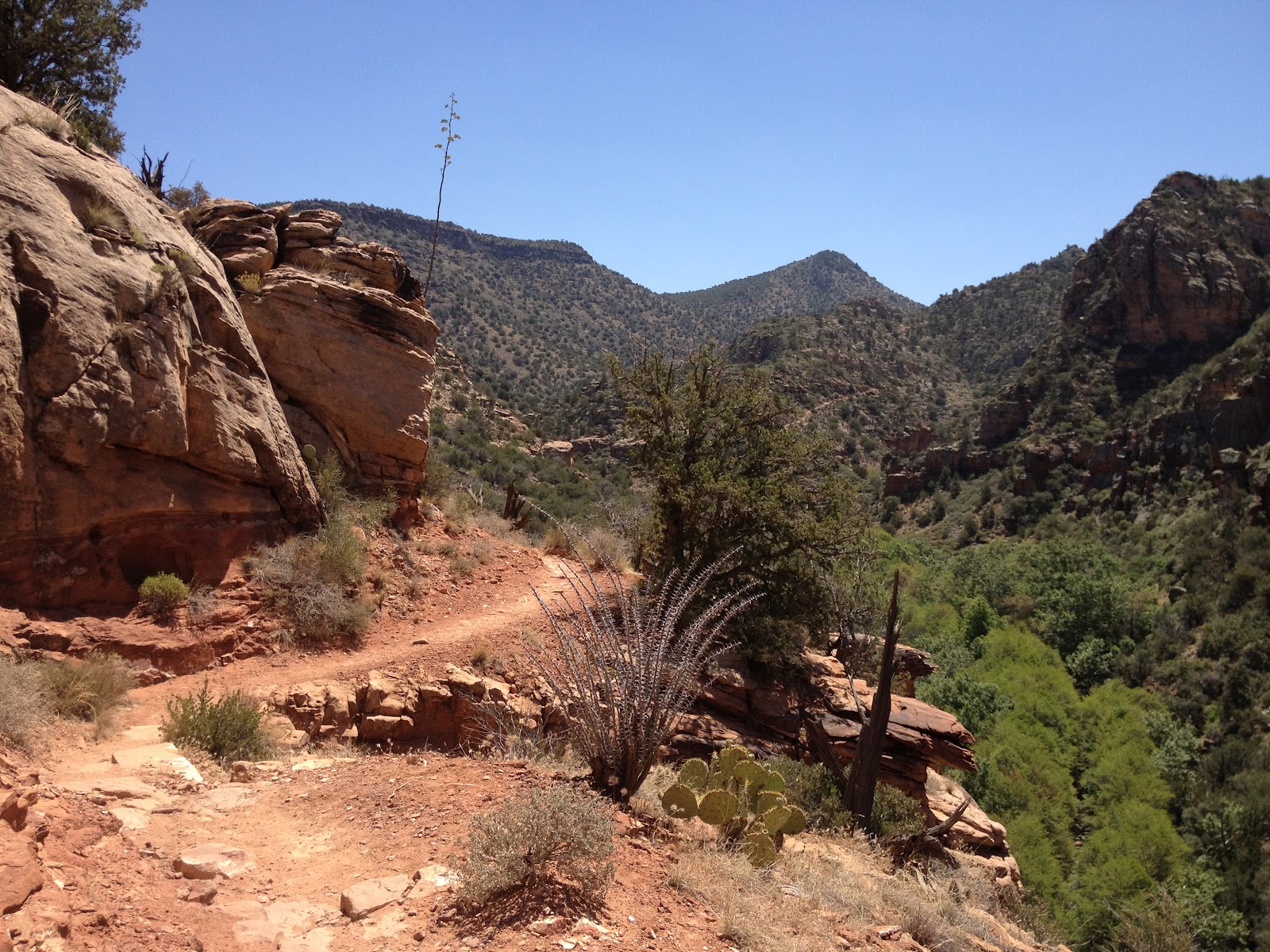 50 Hikes for My 50th! Hike 36 Bell Trail, Camp Verde, AZ