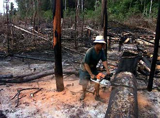 Go GREEN PENEBANGAN DAN PEMBAKARAN HUTAN Go GREEN PENEBANGAN DAN PEMBAKARAN HUTAN