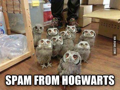 Meme de humor sobre Harry Potter