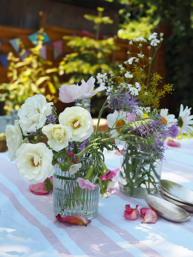 Mahonias Useful Shrubs For A Shady Spot The Backyard Gardener