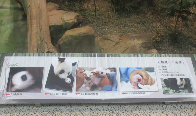 Taipei Zoo - Pandas Taipei Zoo - Pandas