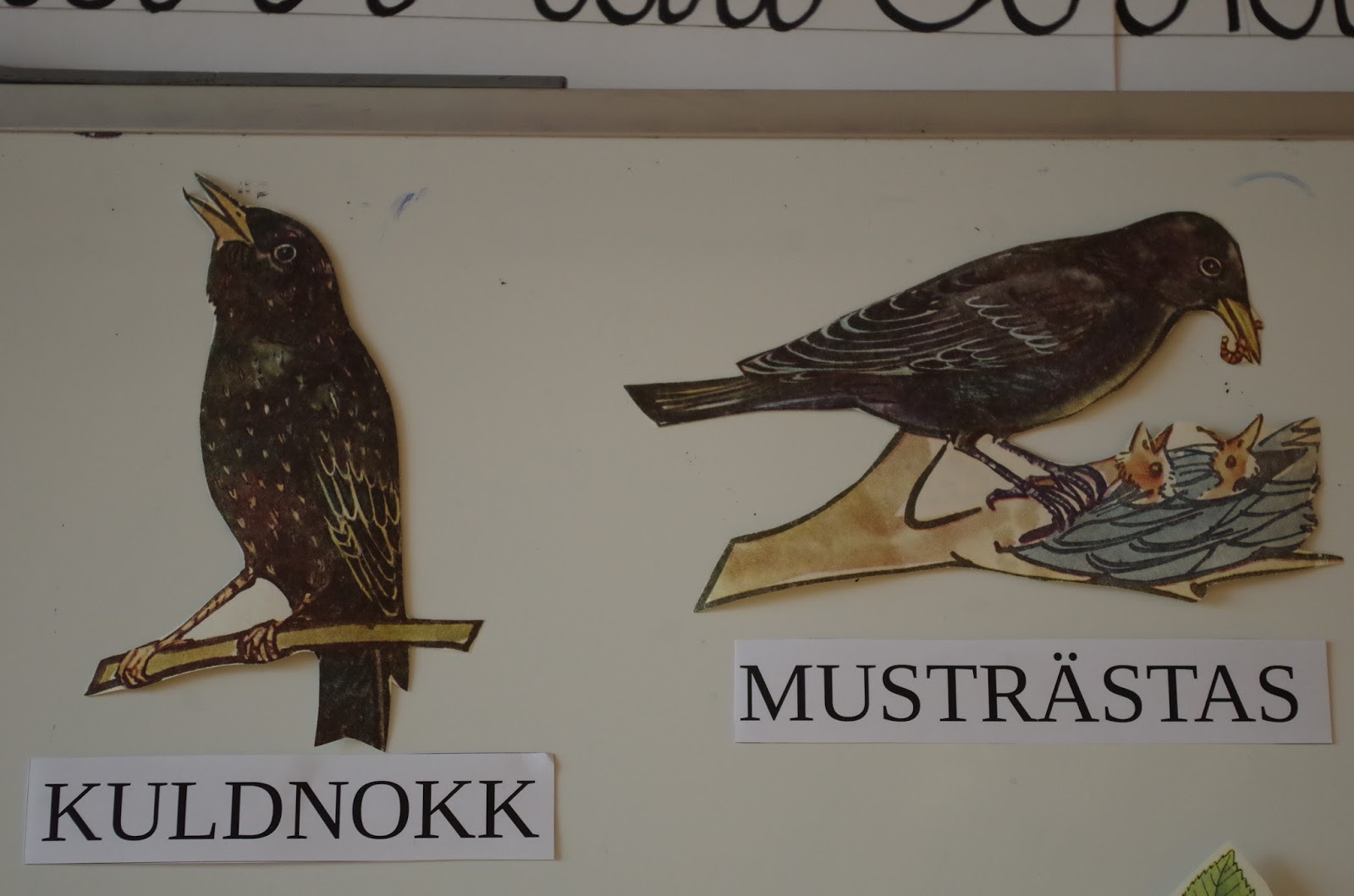 Samm-sammult tarkuse poole: Teema 