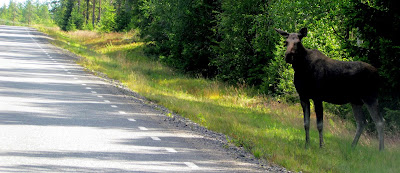 Världsarv Finnskogen