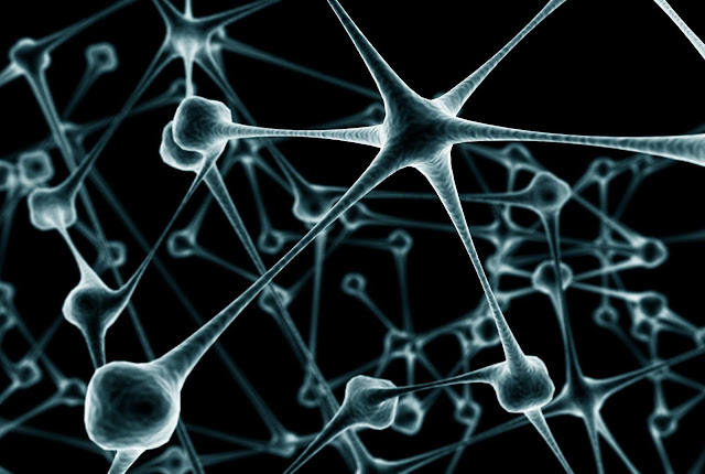 Vista digital de una neurona / WEB 