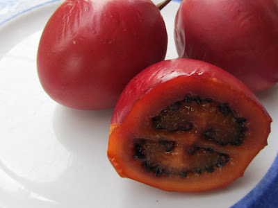 Semi Albero Di Pomodoro Tamarillo Giallo - Cyphomandra Betacea, 10 Semi