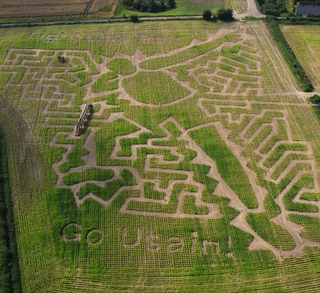 El muro vegetal: LABERINTOS DE MAIZ