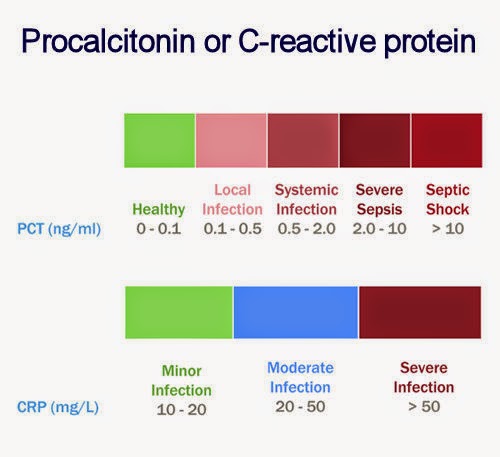 Image result for procalcitonin