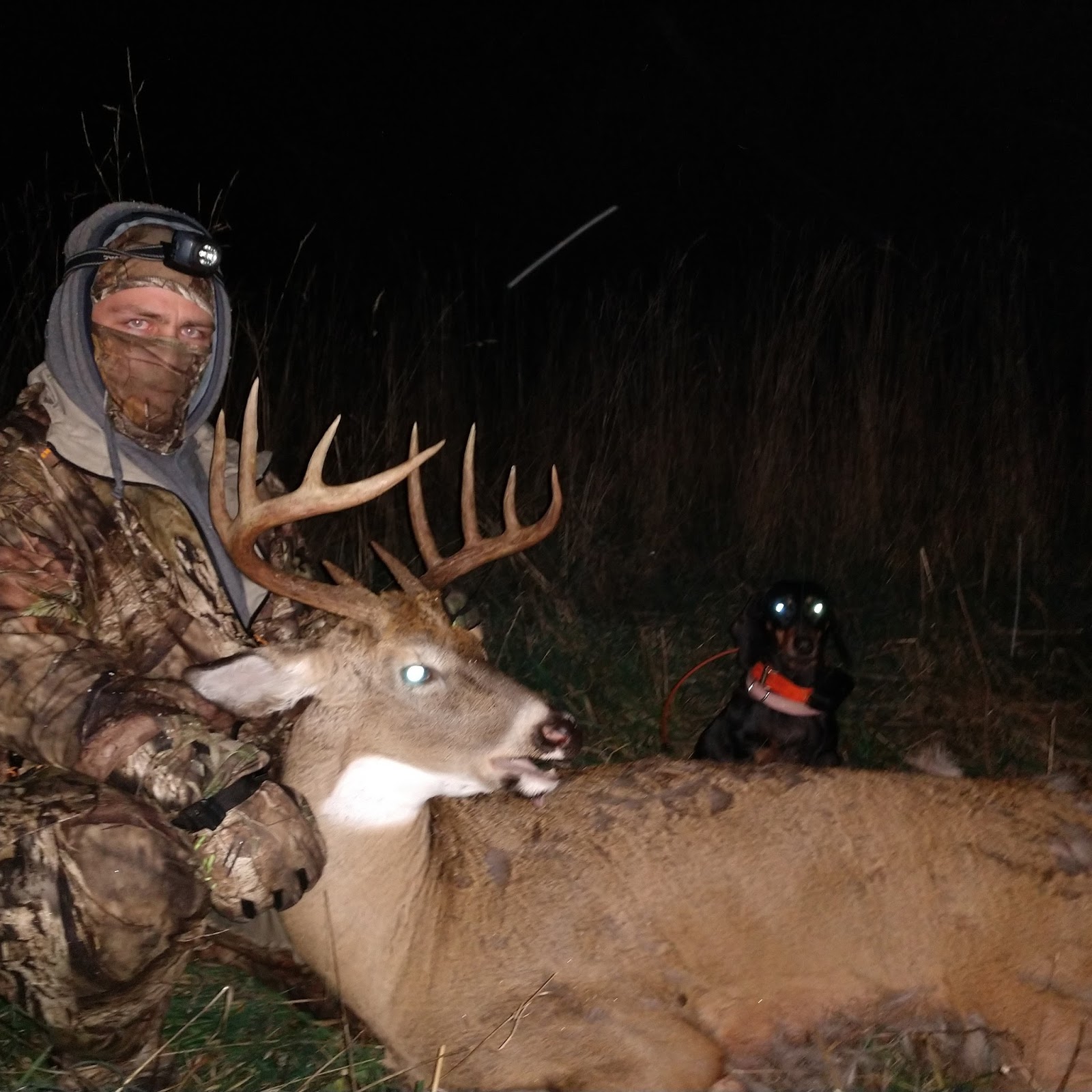 Miller Deer Tracking Ann Arbor Michigan. Blood tracking dog