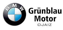 BMW Grümblau Motor