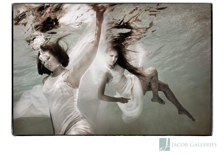 Jacob Galleries Nora Scott Underwater Photography