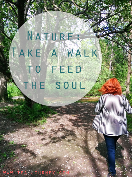 Nature: Take a walk to feed the soul fresh air get away from everything exercise